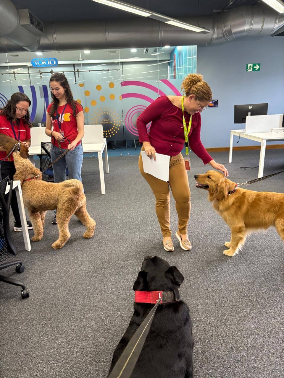 Perros terapeutas en oficinas modernas